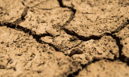 Medidas para evitar la contaminación de los suelos