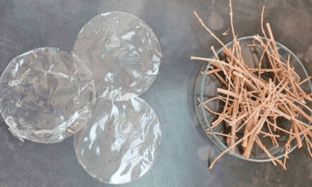 Bioplástico transparente a partir de residuos vegetales