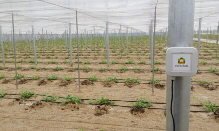 La tecnología IoT como aliada clave en el ahorro de agua