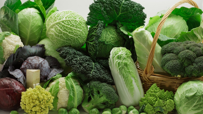 Papel del ácido jasmónico en la defensa de las plantas frente a los patógenos