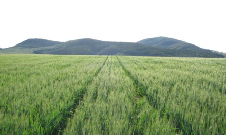 Jornada de Campo sobre «Agricultura de Conservación en Cultivos extensivos»