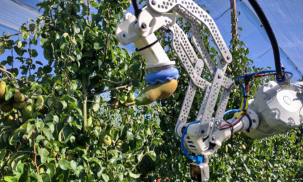 Botánica y robótica para una fruticultura de precisión