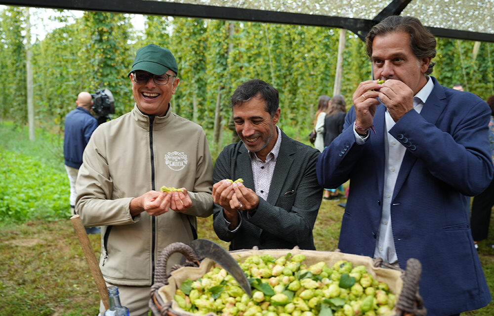 Nace Lupia, el resultado de 20 años de apuesta por el cultivo del lúpulo de Hijos de Rivera