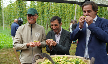 Nace Lupia, el resultado de 20 años de apuesta por el cultivo del lúpulo de Hijos de Rivera
