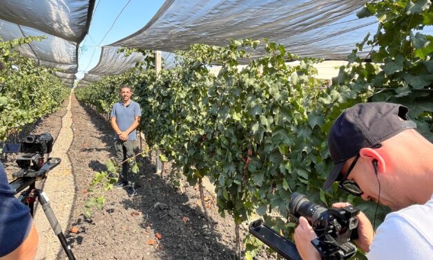 Proteger las viñas de los efectos del cambio climático y mejorar la calidad del vino con Arrigoni