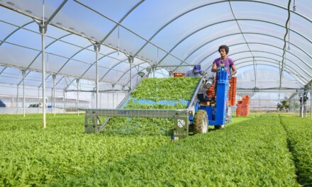 Dari Ecomeccanica expone toda su gama de máquinas para la horticultura en EIMA 2024