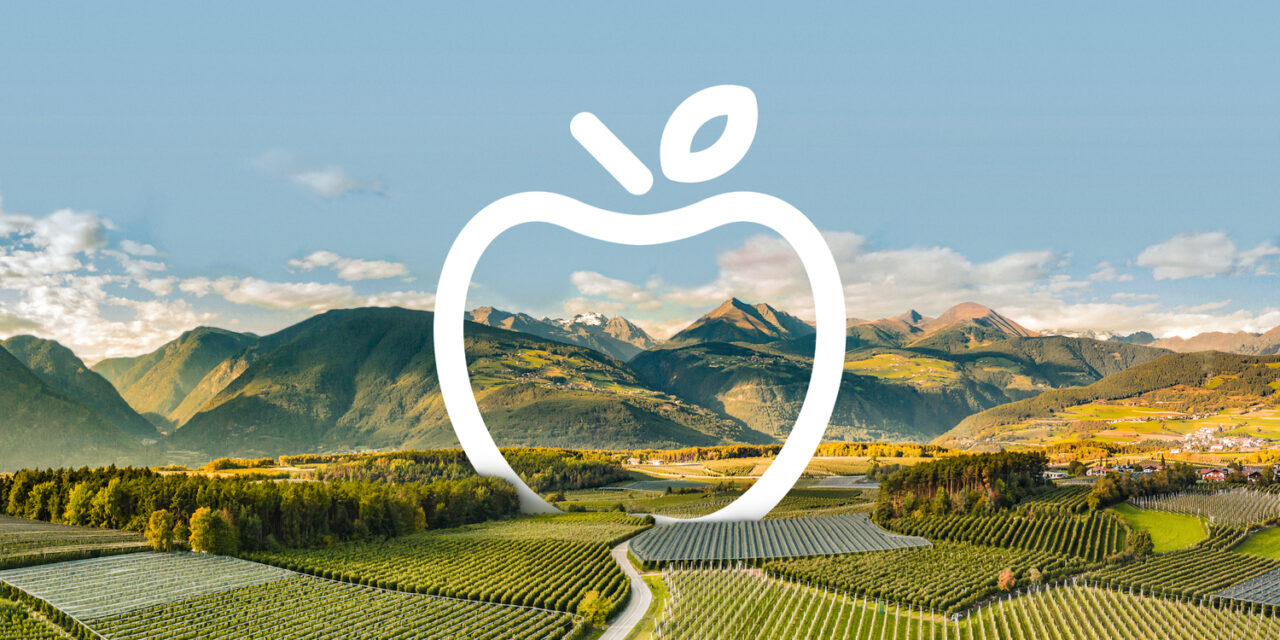 Cuenta atrás para Interpoma 2024: la digitalización en el punto de mira