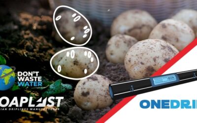 Tecnologías Soaplast para el riego en cultivo de patata