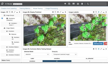 Sistema de Visión Artificial con IA para Pre-Cosecha y Post-Cosecha