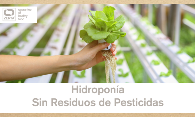 Cultivos hidropónicos y sin residuos