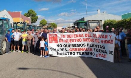 Olivos en peligro por megaplantas solares