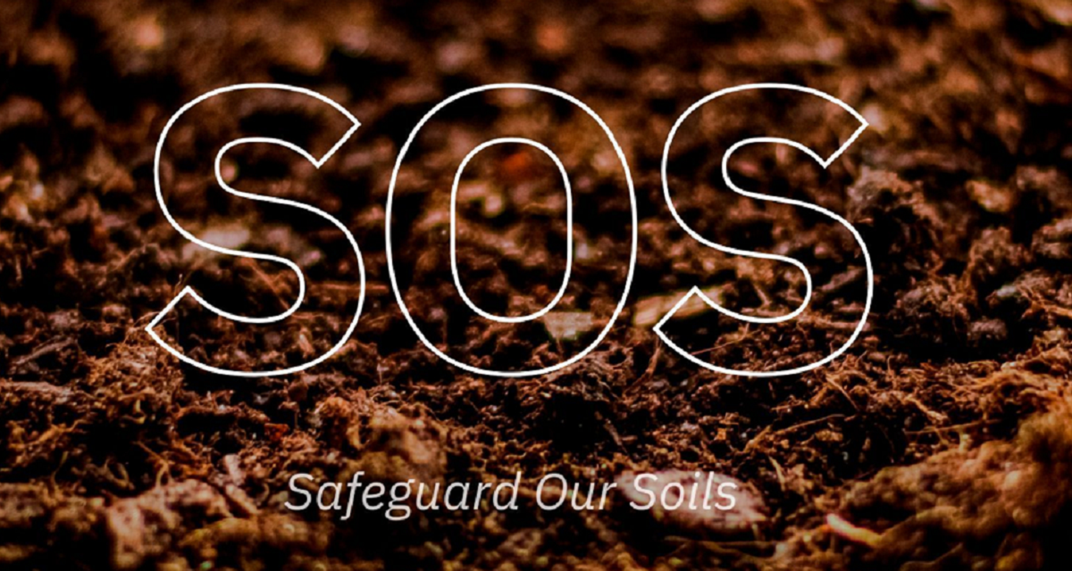 #SOS—Safeguard Our Soils: Una iniciativa para la salud y la sostenibilidad del suelo