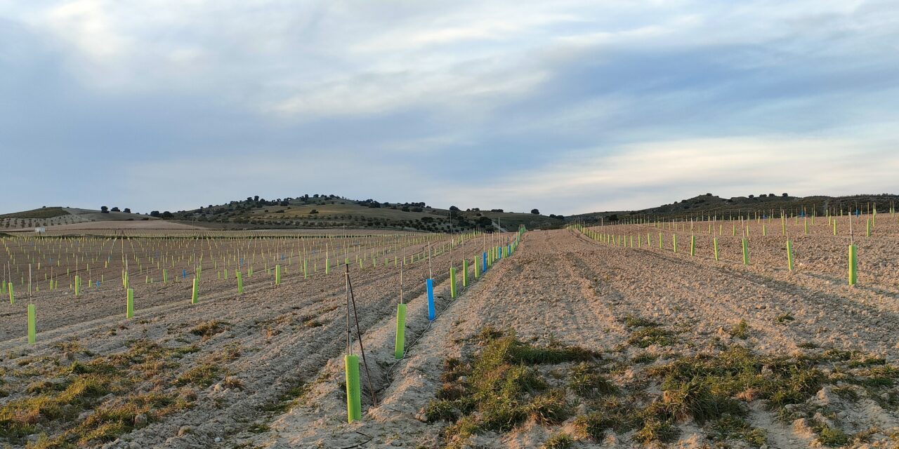 Gestión forestal y agricultura regenerativa, claves para reducir el impacto de las inundaciones