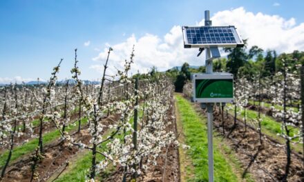 Wiseconn Europe en Fruit Logistica Berlin 2025