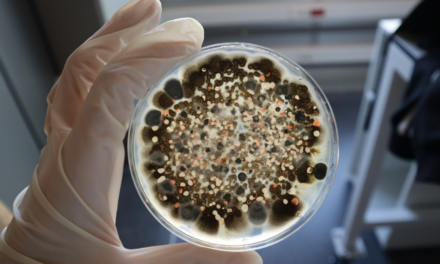 ValGenetics desarrollará la Plataforma Ecoefficacy para valorar la eficacia y modo de acción de productos bioestimulantes y agentes de biocontrol