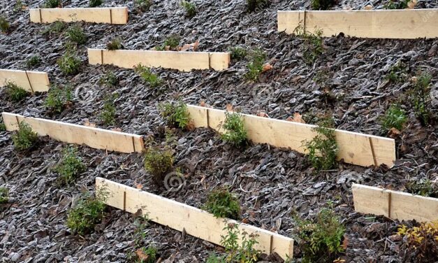 Una acción concreta contra las inundaciones en las llanuras mediterráneas