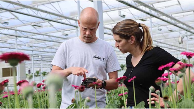 El portal web mejorado de Crop-Scanner™ proporciona beneficios adicionales