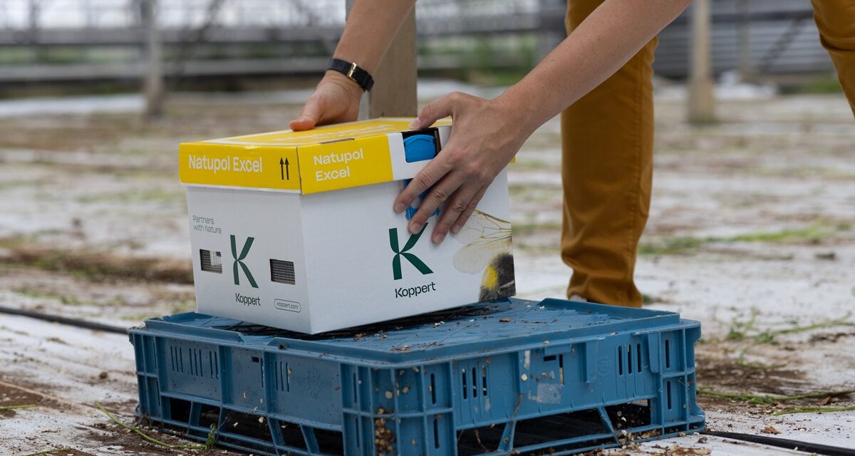 Las colmenas Natupol de Koppert, menos plástico y mejor rendimiento con temperaturas extremas