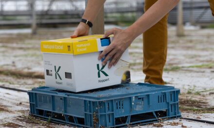 Las colmenas Natupol de Koppert, menos plástico y mejor rendimiento con temperaturas extremas