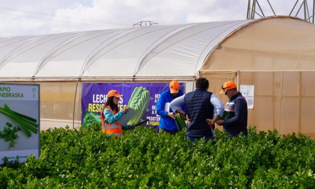 Ramiro Arnedo consolida su liderazgo en la innovación de cultivos de hoja y apio