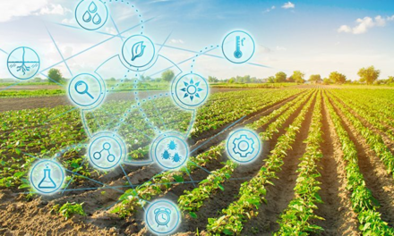 La transformación digital en la agricultura española