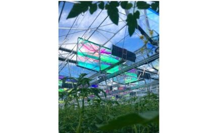 Voltiris, un innovador sistema de energía solar para invernaderos