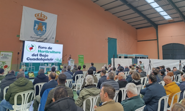 Crecimiento de las hortícolas del Bajo Guadalquivir apostando por rentabilidad, sostenibilidad y diversificación