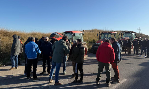 Kubota Insight Programme, una mejora de la experiencia y satisfacción del cliente