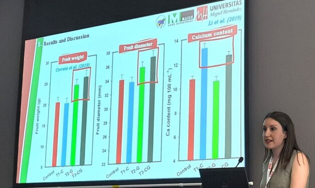 Bioestimulantes, cómo mejoran la calidad interna de frutos rojos