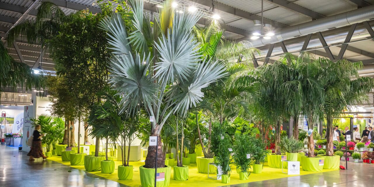 Myplant, la feria del sector verde de Italia, mira fuera de las fronteras
