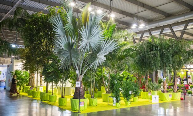 Myplant, la feria del sector verde de Italia, mira fuera de las fronteras