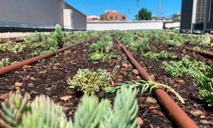 Nueva gama de sustratos para cubiertas verdes COVERPRO