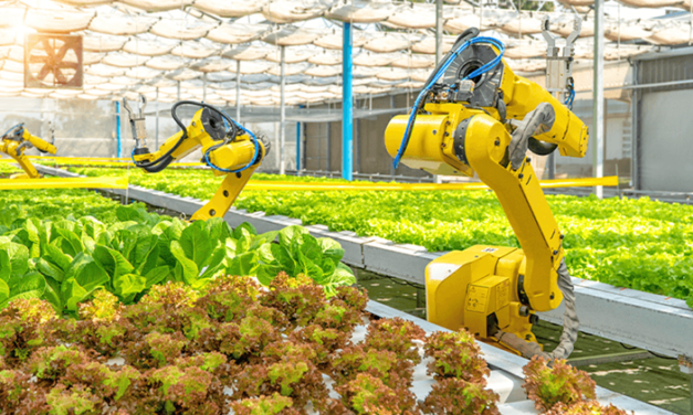 La Conexión simbiótica entre el agro, la industria y la inteligencia artificial