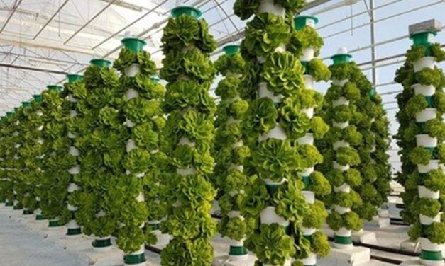 Innovación y tecnología puntera en horticultura, drones, IA y LED