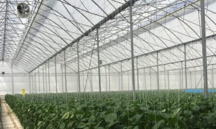 Equilibrio en la protección de cultivos con Arrigoni