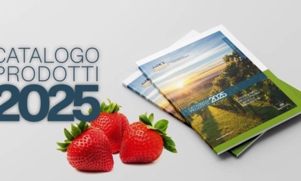 Nuevo catálogo 2025 Biolchim Italia: innovaciones para tu éxito