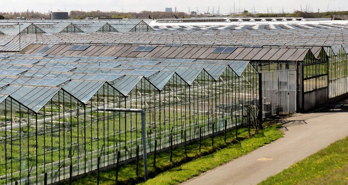 ¿Que material es el mejor para las cubiertas de un invernadero?