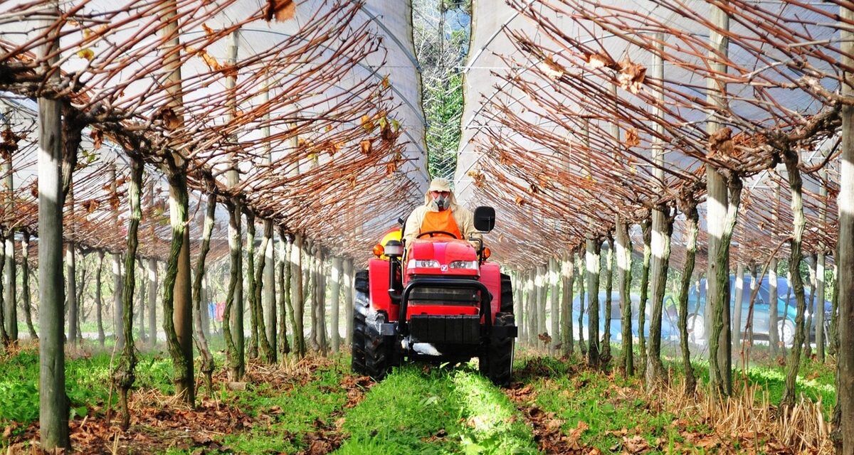 Las mallas agrotextiles, una protección eficaz frente al cambio climático