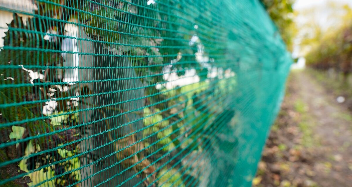 Arrigoni lleva a Macfrut sus soluciones más innovadoras y sostenibles