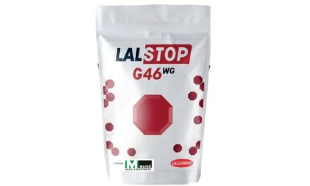 El nuevo biofungicida que combate la Botrytis en fresa