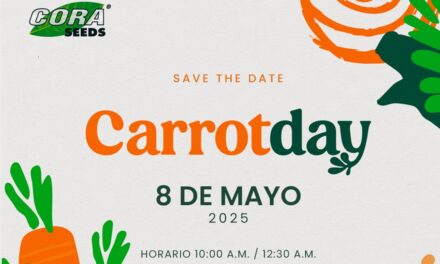 Carrot Day by Cora Seeds: las claves del mercado europeo de la zanahoria en Macfrut 2025