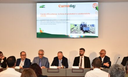 Carrot Day: Cora Seeds reunió a la cadena de suministro internacional de la zanahoria para afrontar los futuros retos del sector
