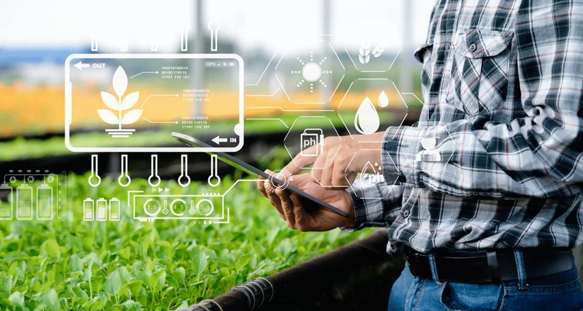 Productos biológicos y bioestimulantes para una agricultura más eficiente