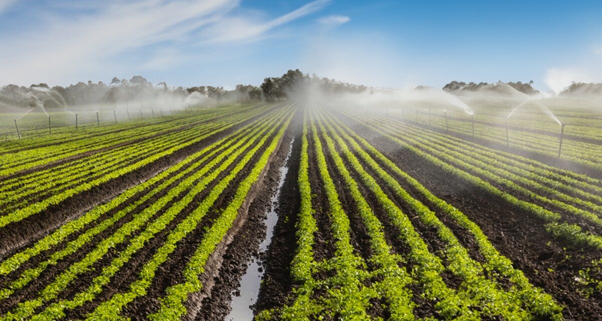 Preparación y mantenimiento preventivo de sistemas de riego agrícola en España