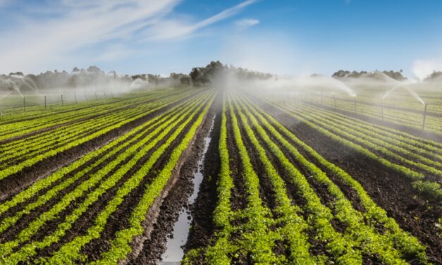 Preparación y mantenimiento preventivo de sistemas de riego agrícola en España
