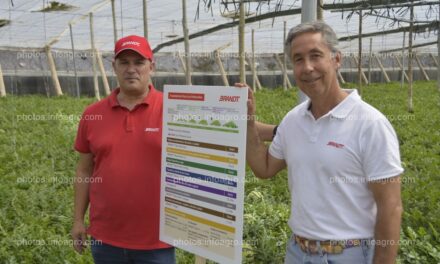 Brandt, presente en la V edición de Infoagro Exhibition, que espera a casi 50.000 visitantes en Almería