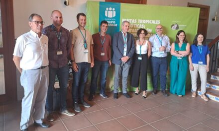 Las frutas exóticas que llegan, las grandes perspectivas de mercado