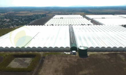 ¿Qué sistemas mejoran la eficiencia de los invernaderos?