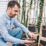 AGRO+, un servicio de asesoramiento integral para cultivos hidropónicos