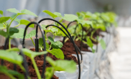 Cómo elegir el sistema de riego ideal para invernaderos
